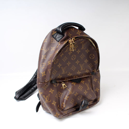 Louis Vuitton Palm Springs Backpack PM