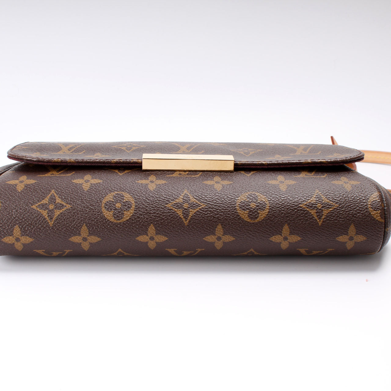 Louis Vuitton Favorite MM Monogram