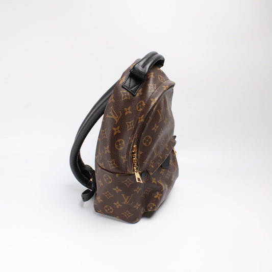 Louis Vuitton Palm Springs Backpack PM Monogram