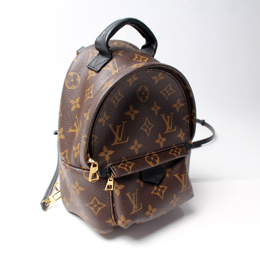 Louis Vuitton Palm Springs Mini Monogram