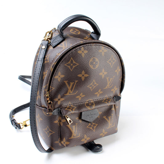 Louis Vuitton Palm Springs Mini Monogram