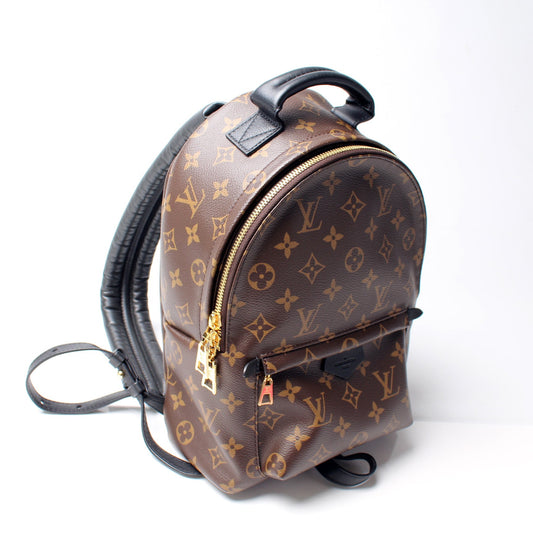 Louis Vuitton Palm Springs Backpack PM NM