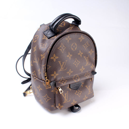 Louis Vuitton Palm Springs Mini Monogram