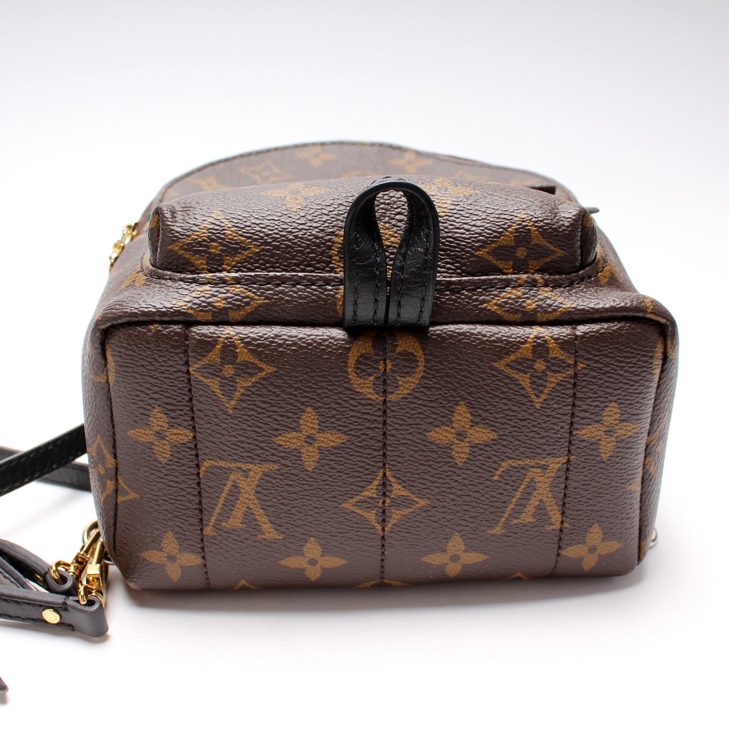 Louis Vuitton Palm Springs Mini Monogram