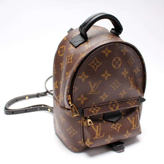 Louis Vuitton Palm Springs Mini Monogram