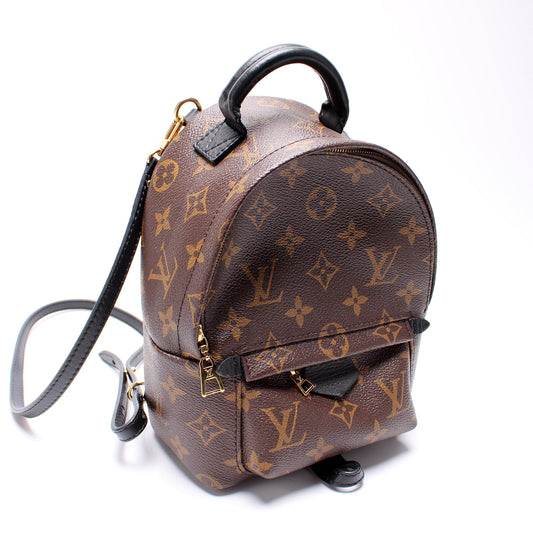 Louis Vuitton Palm Springs Mini Monogram