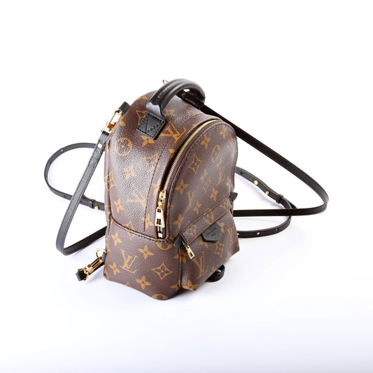 Louis Vuitton Palm Springs Mini Monogram