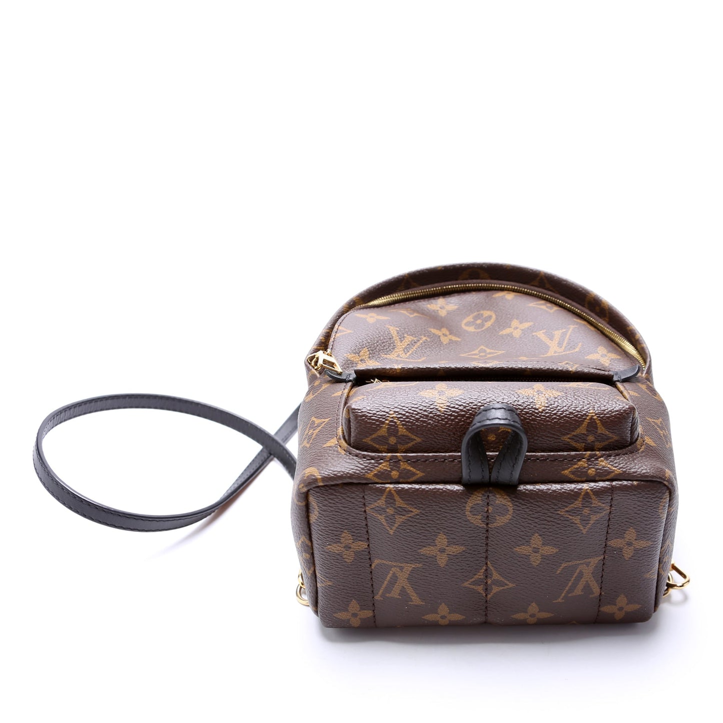 Louis Vuitton Palm Springs Mini Monogram
