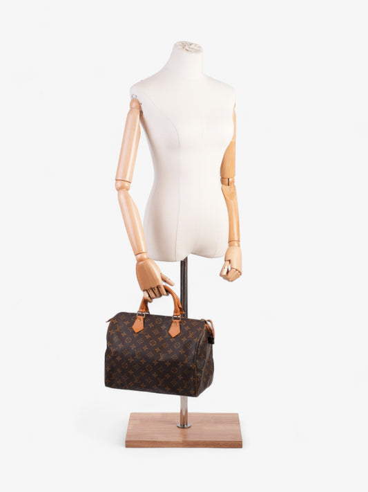 Louis Vuitton Speedy Monogram 30