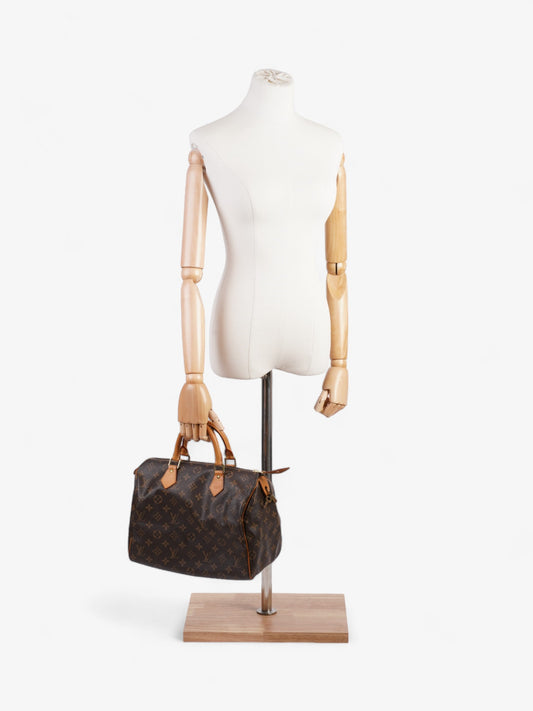 Louis Vuitton Speedy Monogram 30