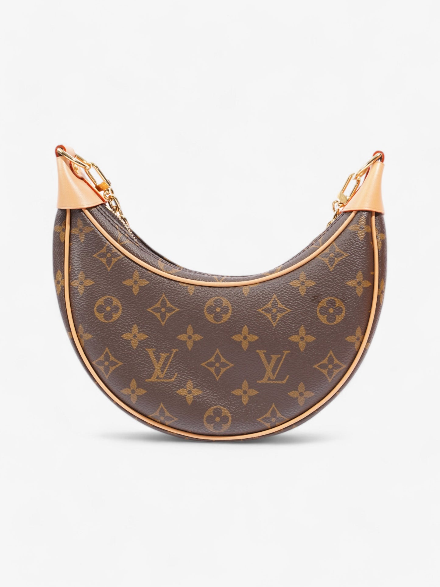 Louis Vuitton LV Monogram Loop bag Monogram Coated Canvas