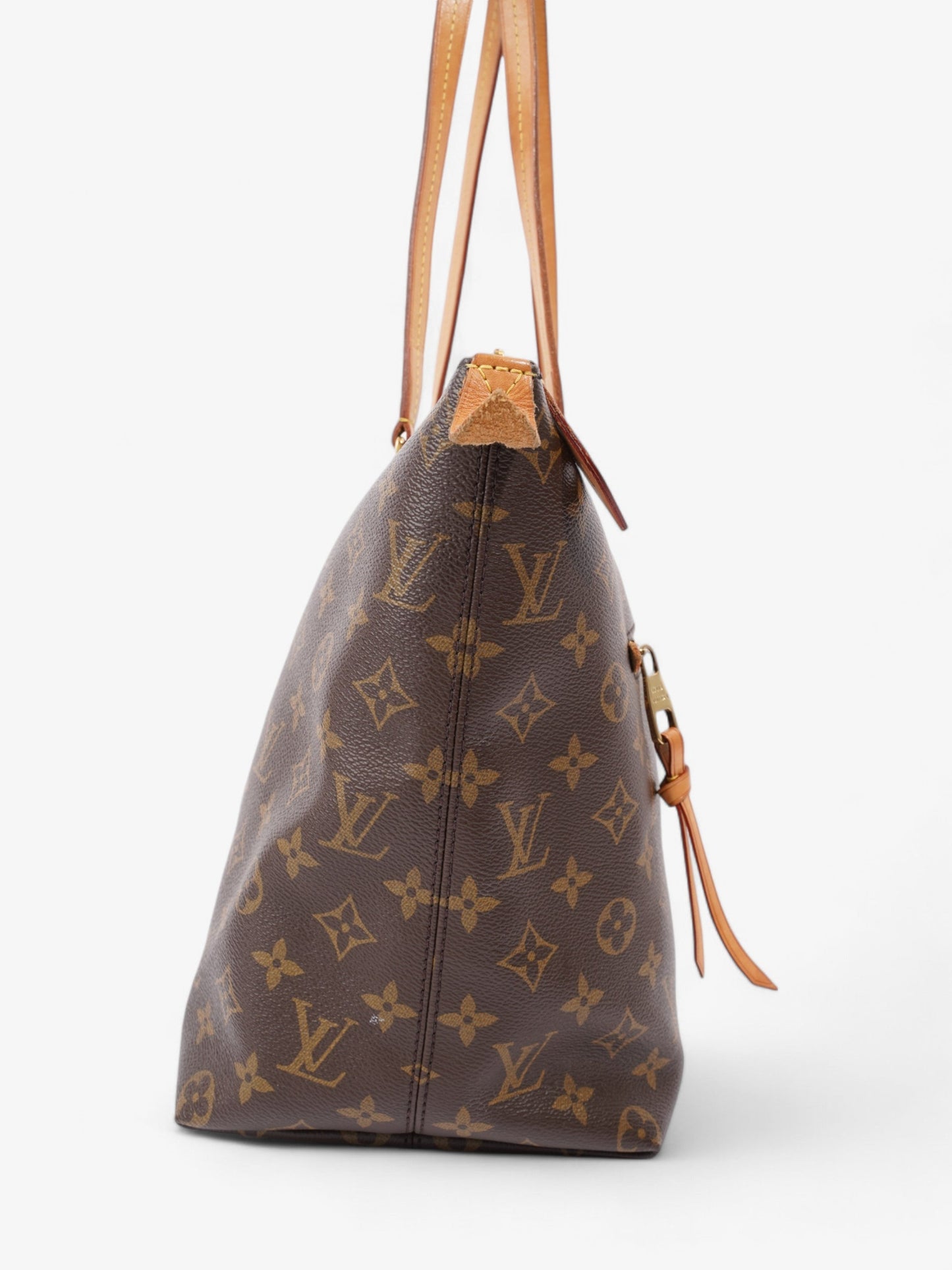 Louis Vuitton Lena Monogram Coated Canvas PM