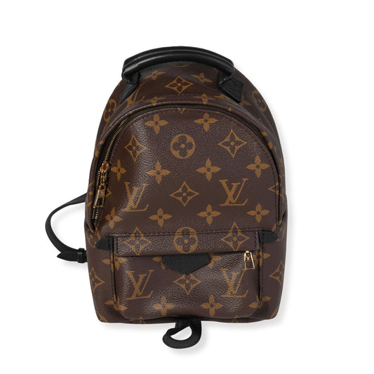 Louis Vuitton Louis Vuitton Monogram Canvas Palm Springs Mini Backpack