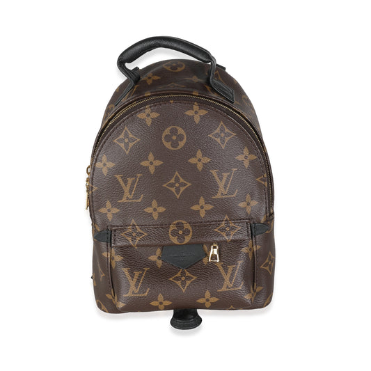 Louis Vuitton Monogram Canvas Mini Palm Springs