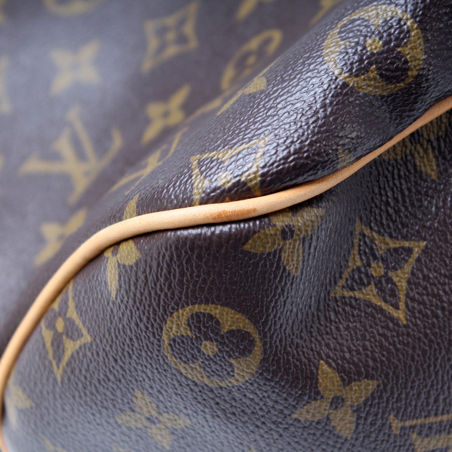 Louis Vuitton Delightful PM Monogram
