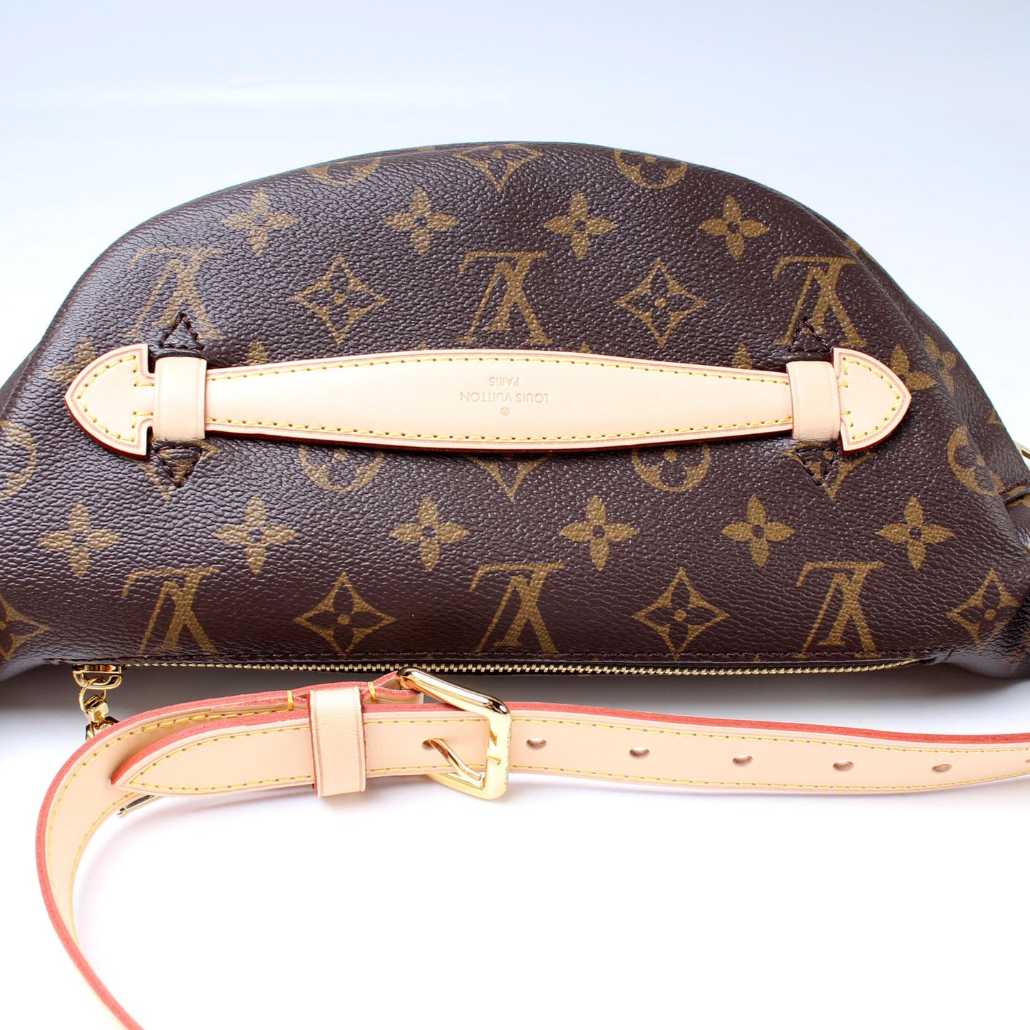 Louis Vuitton Bumbag Monogram