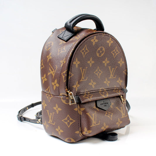 Louis Vuitton Palm Springs Mini Monogram