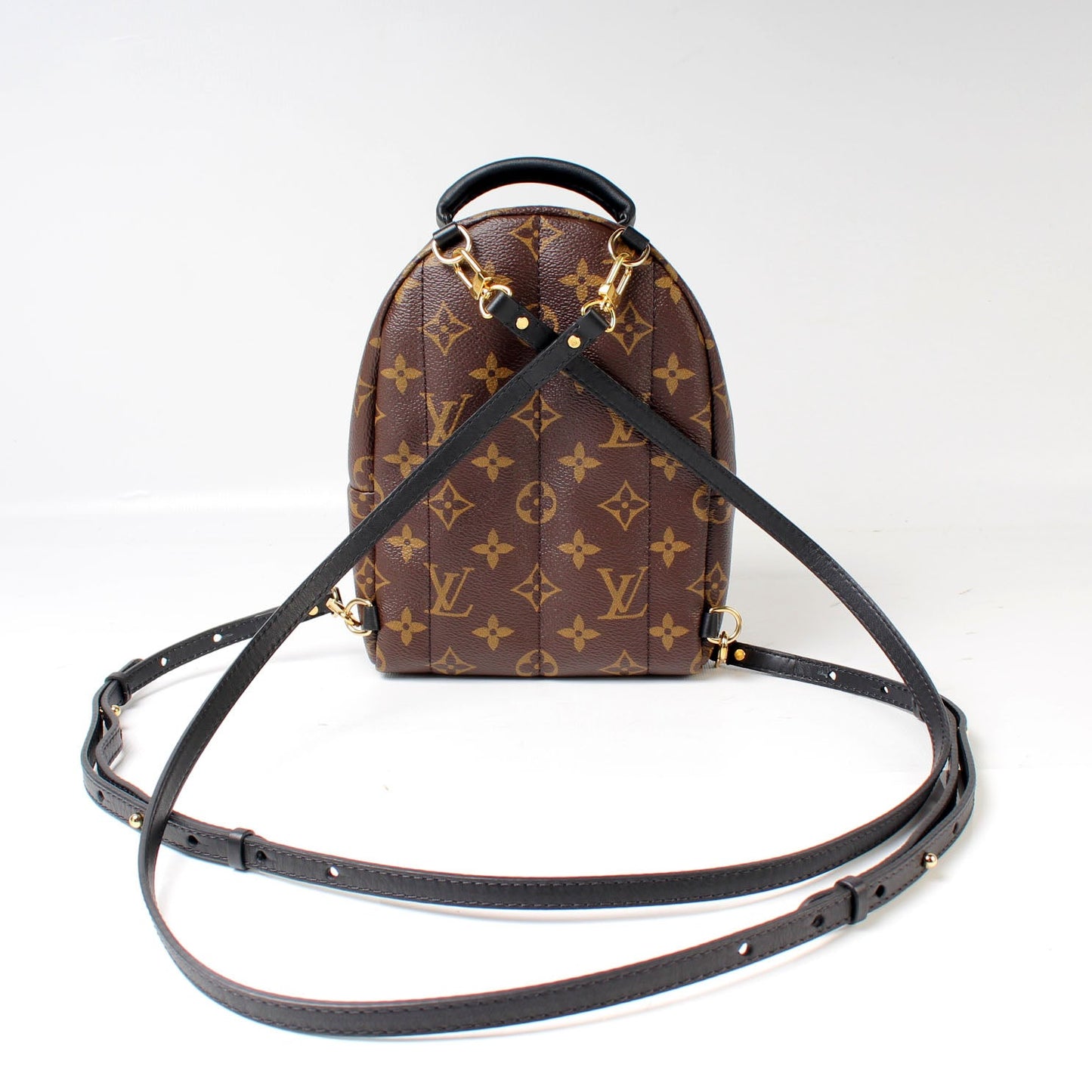 Louis Vuitton Palm Springs Mini Monogram