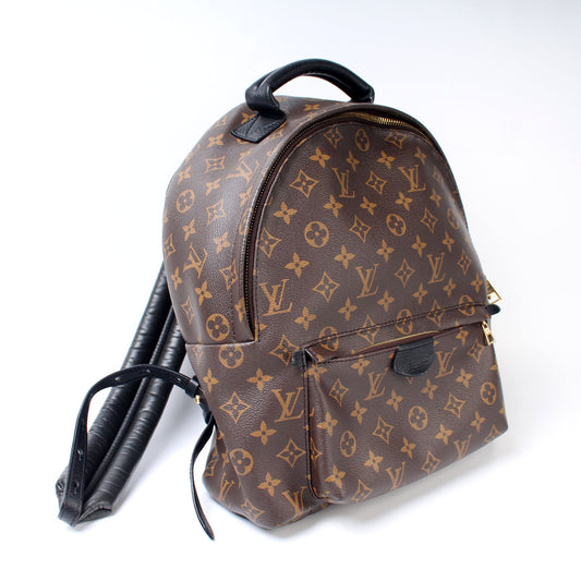 Louis Vuitton Palm Springs Backpack MM Monogram