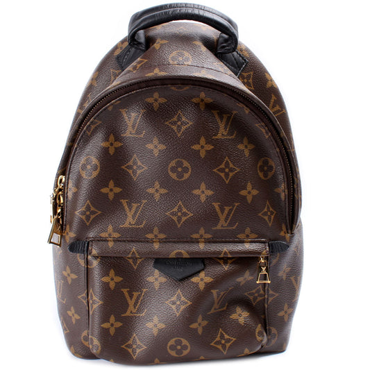 Louis Vuitton Palm Springs Backpack PM Monogram
