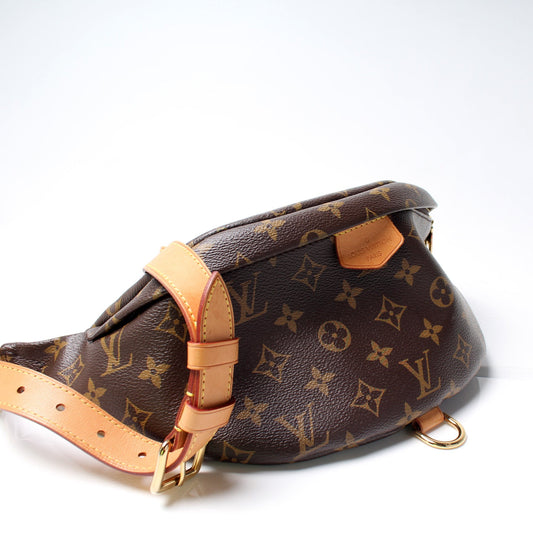 Louis Vuitton Bumbag Monogram