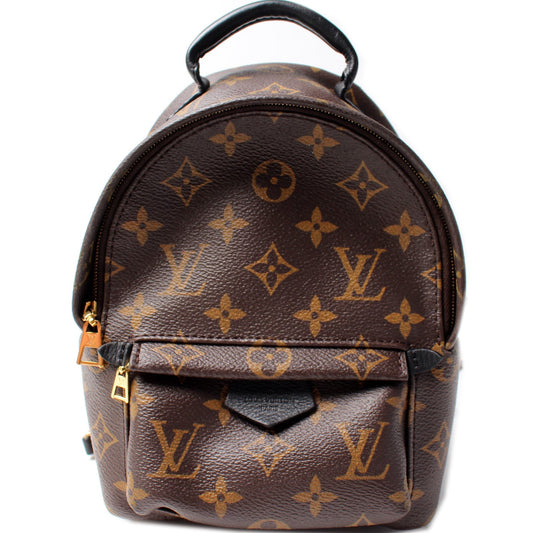 Louis Vuitton Palm Springs Mini Monogram