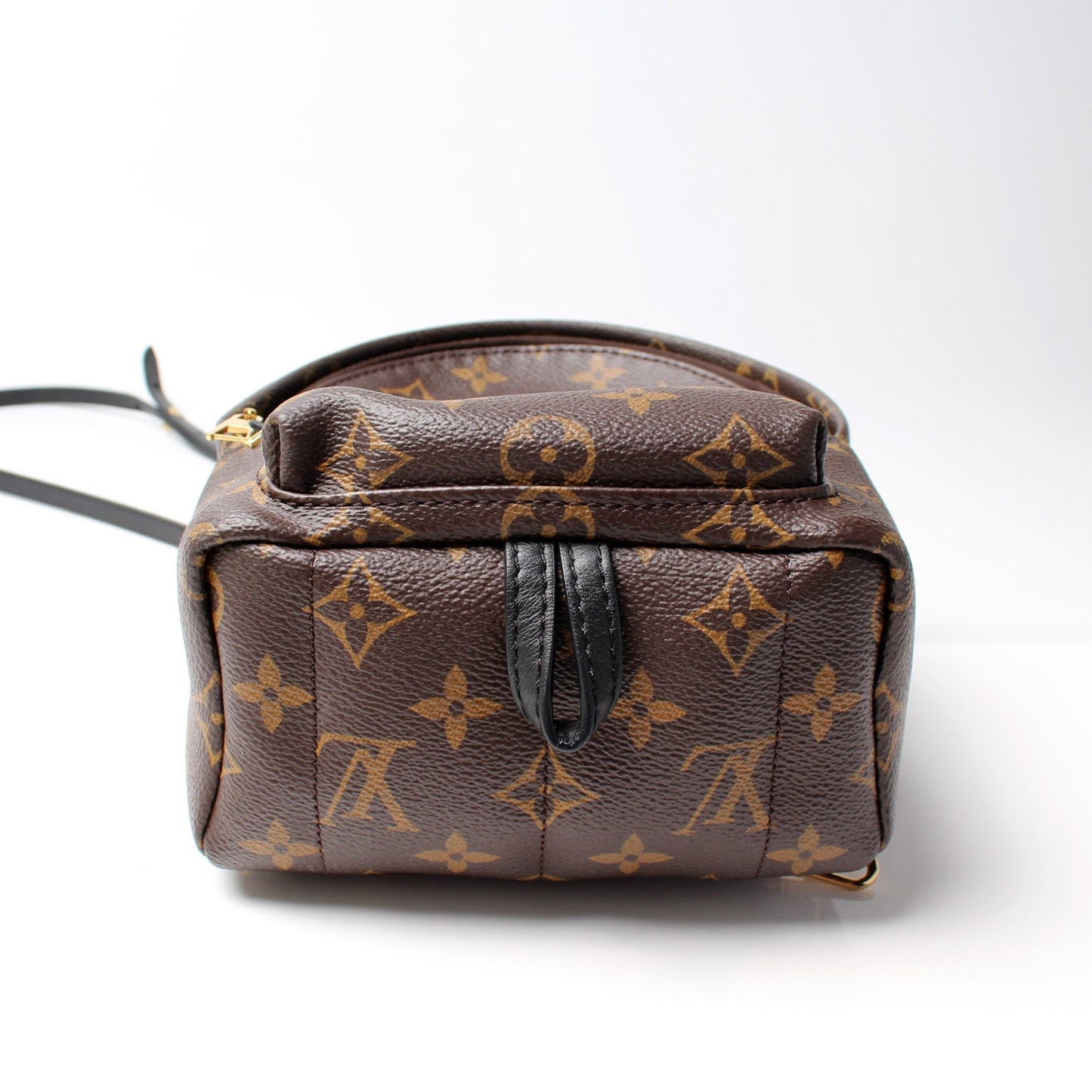 Louis Vuitton Palm Springs Mini Monogram