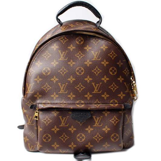 Louis Vuitton Palm Springs Backpack MM Monogram
