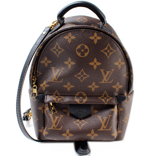 Louis Vuitton Palm Springs Mini Monogram