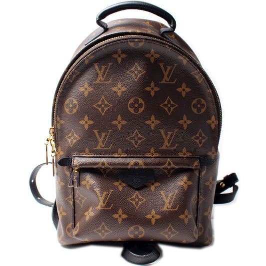Louis Vuitton Palm Springs Backpack PM NM
