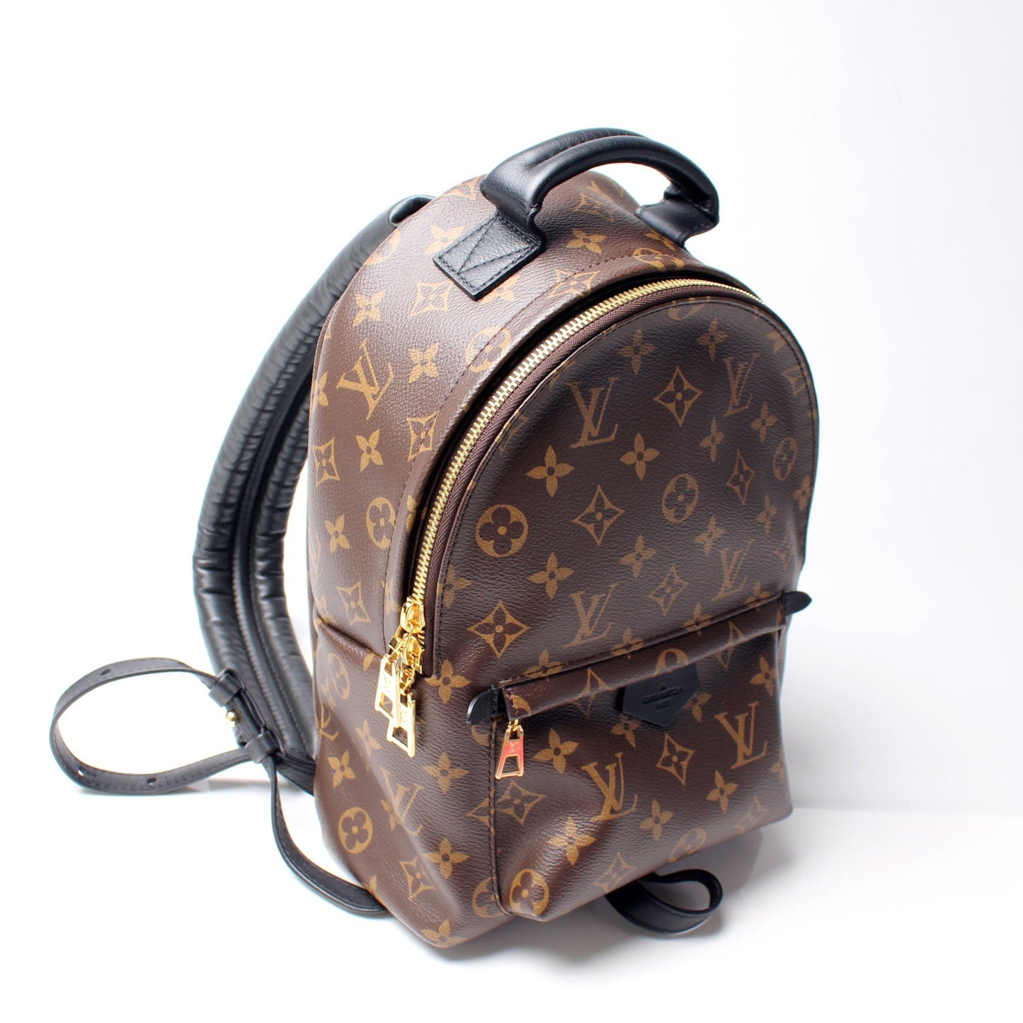 Louis Vuitton Palm Springs Backpack PM NM