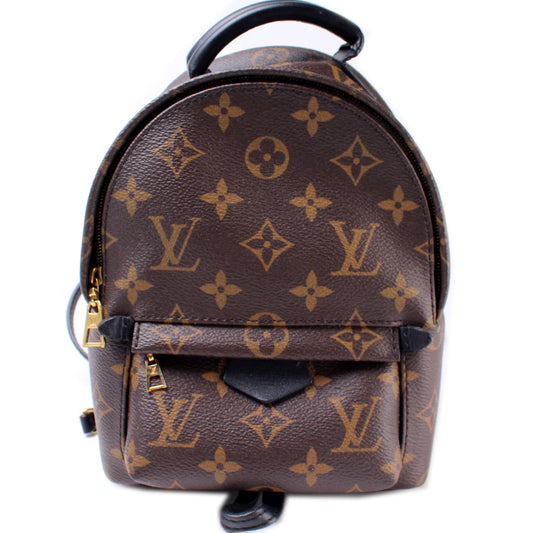 Louis Vuitton Palm Springs Mini Monogram