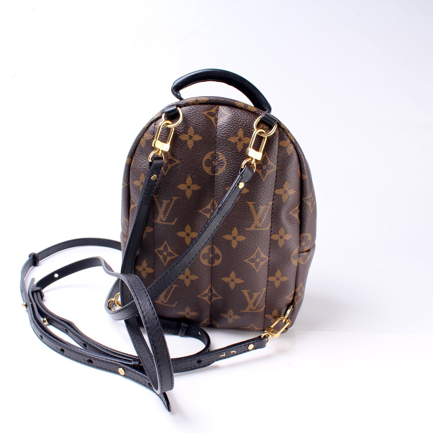 Louis Vuitton Palm Springs Mini Monogram