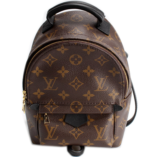 Louis Vuitton Palm Springs Mini Monogram