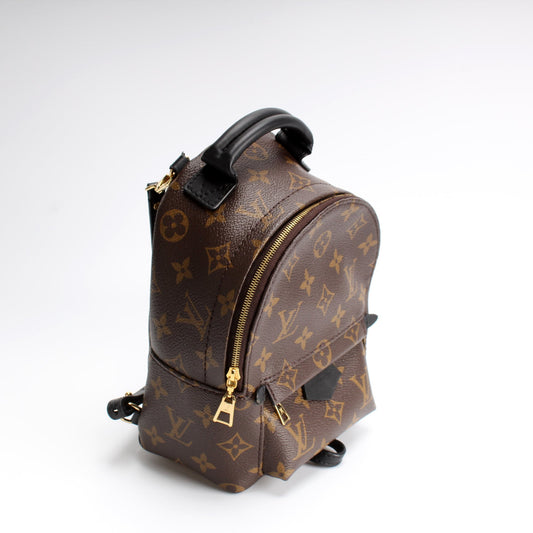 Louis Vuitton Palm Springs Mini Monogram