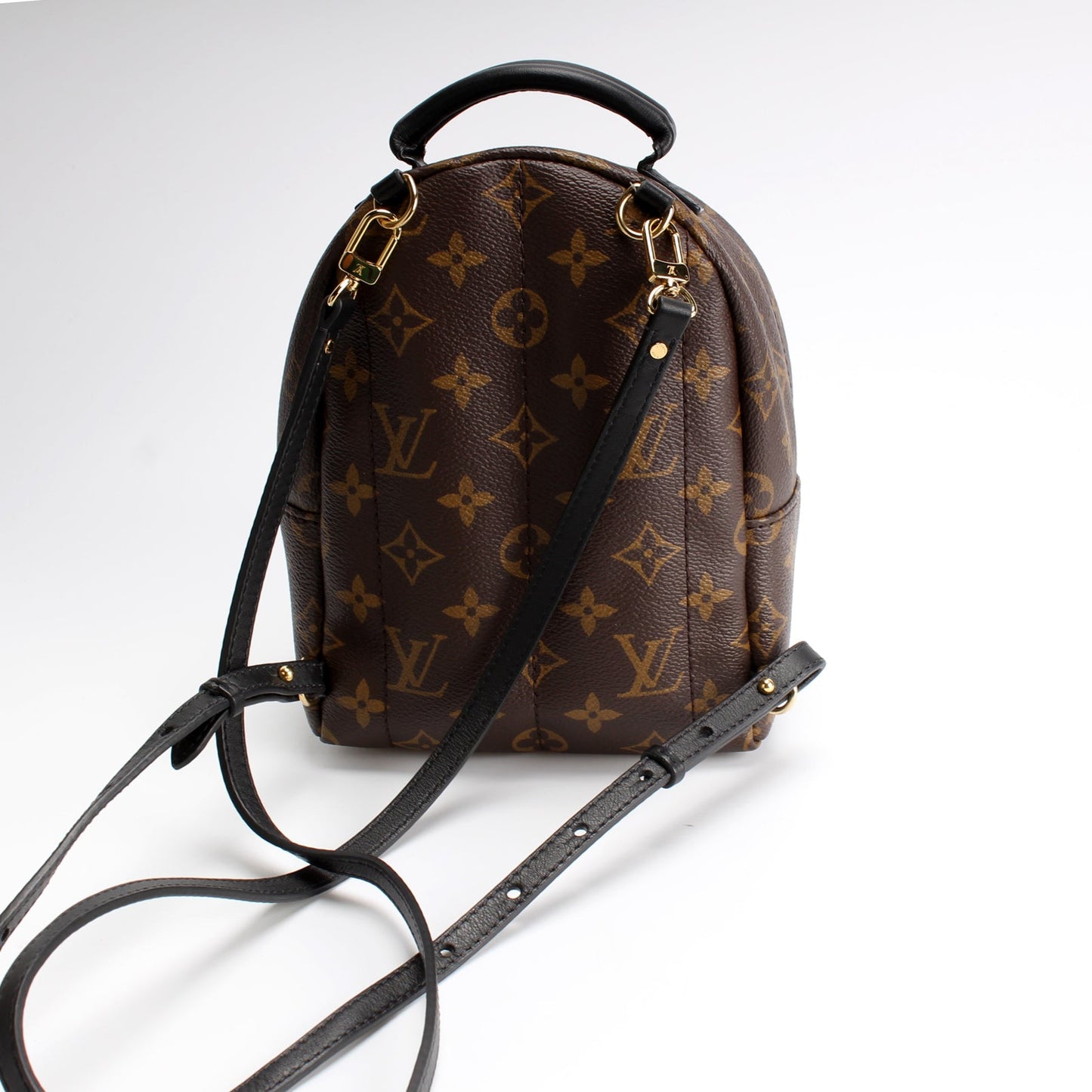 Louis Vuitton Palm Springs Mini Monogram