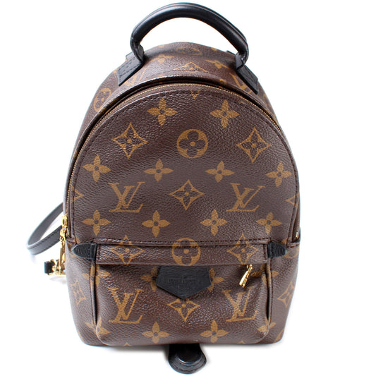 Louis Vuitton Palm Springs Mini Monogram