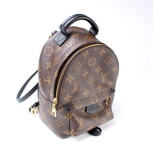 Louis Vuitton Palm Springs Mini Monogram