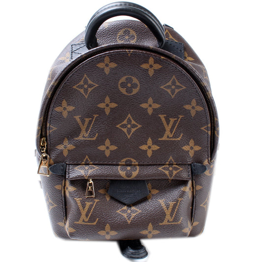 Louis Vuitton Palm Springs Mini Monogram