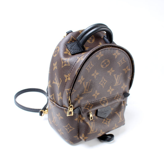 Louis Vuitton Palm Springs Mini Monogram