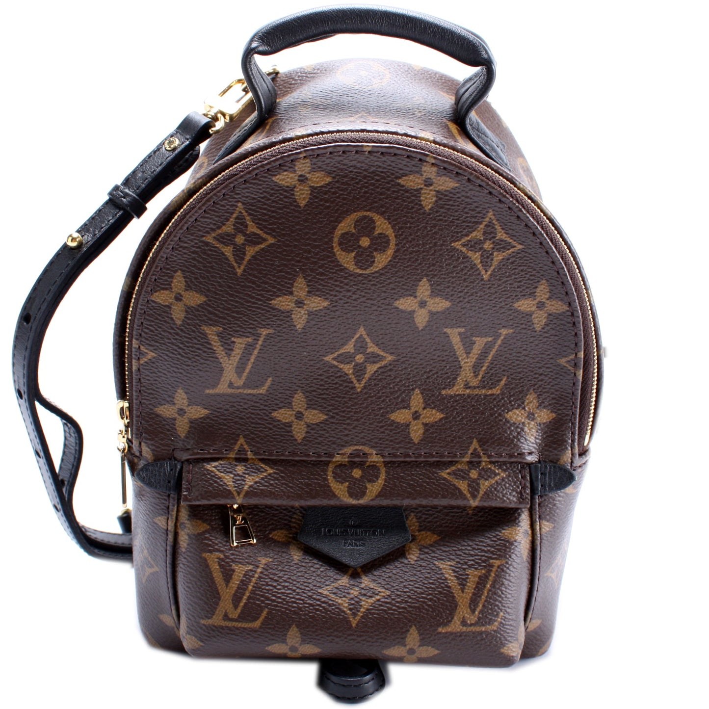 Louis Vuitton Palm Springs Mini Monogram
