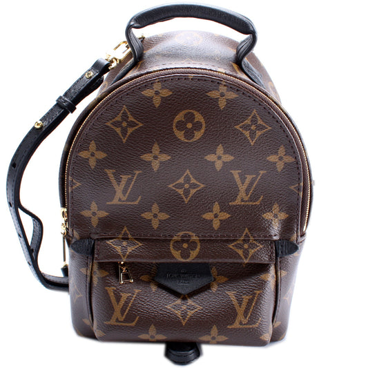 Louis Vuitton Palm Springs Mini Monogram