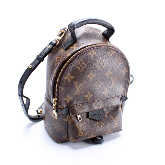 Louis Vuitton Palm Springs Mini Monogram