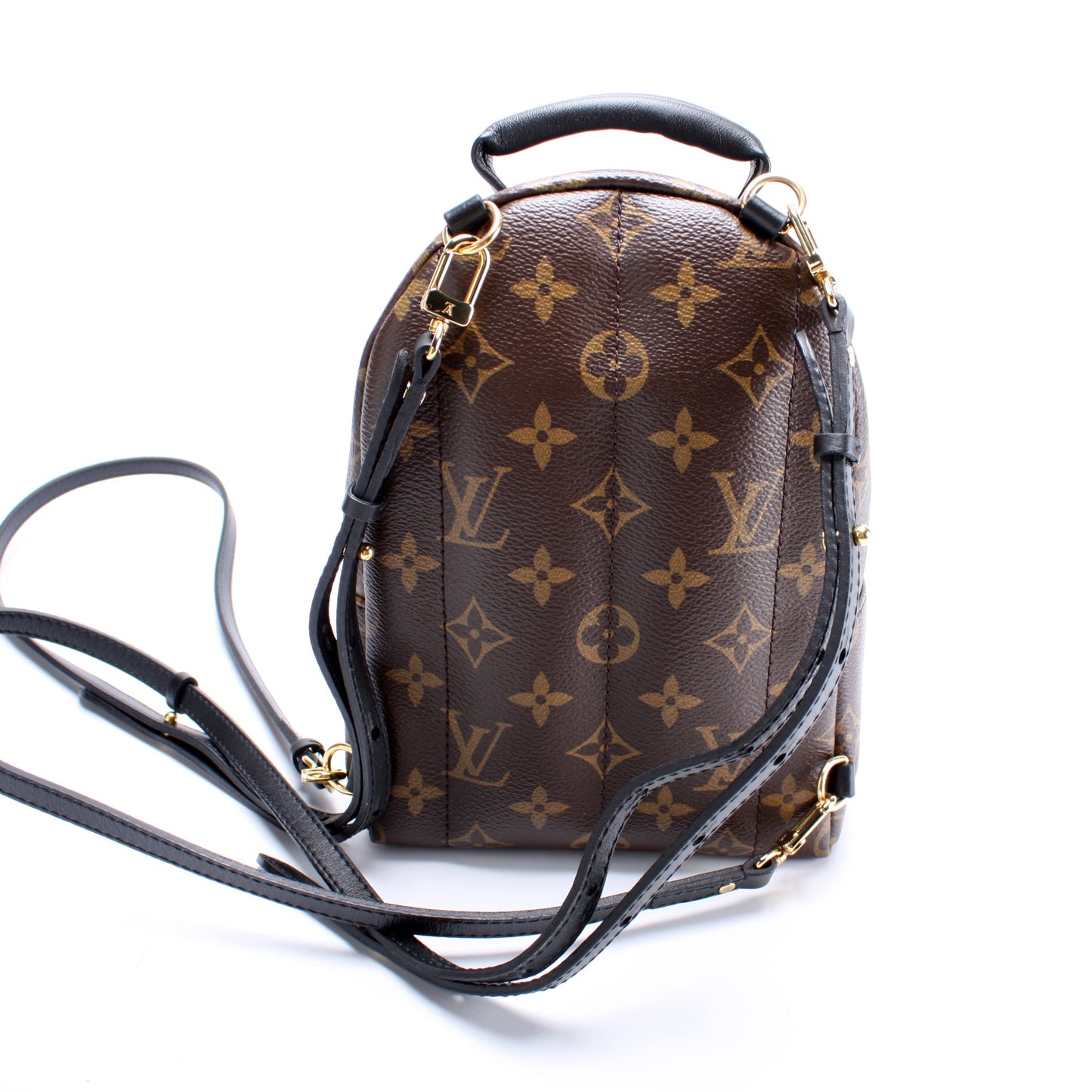 Louis Vuitton Palm Springs Mini Monogram