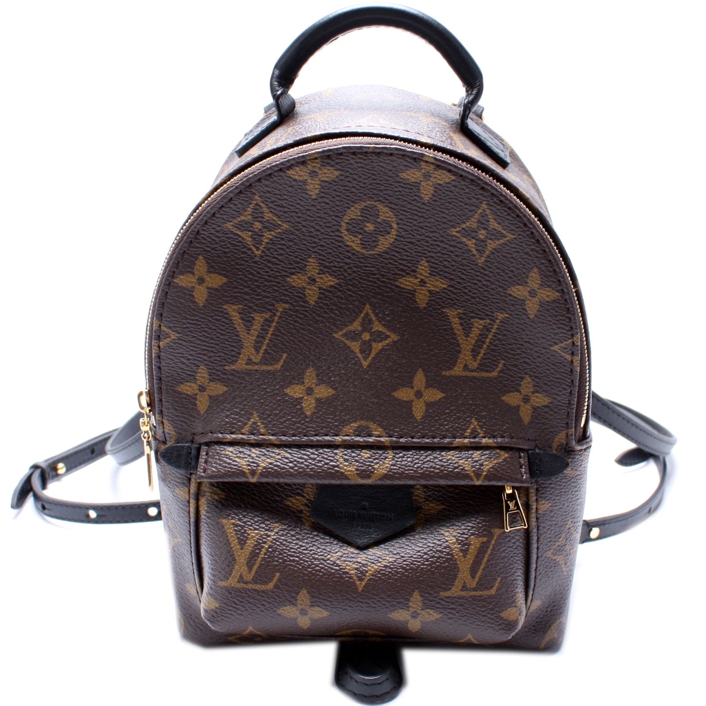 Louis Vuitton Palm Springs Mini Monogram