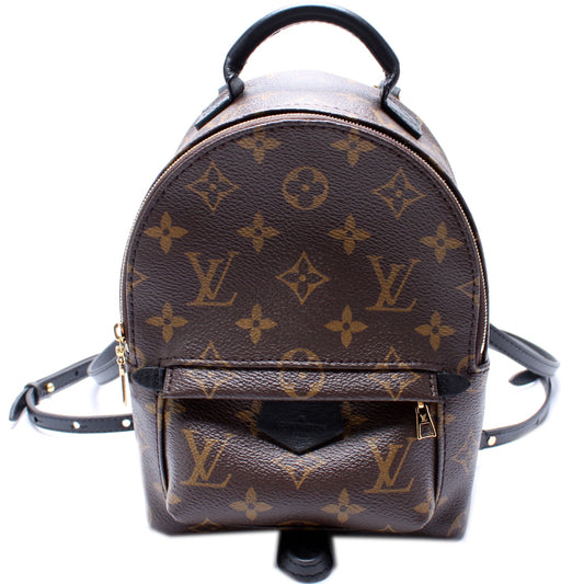 Louis Vuitton Palm Springs Mini Monogram