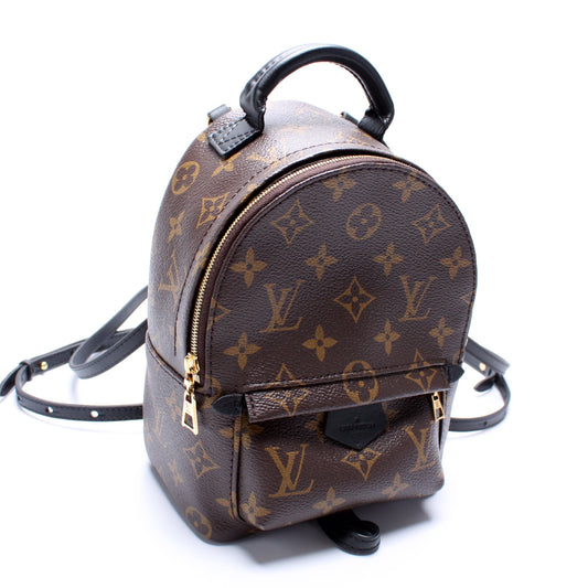 Louis Vuitton Palm Springs Mini Monogram