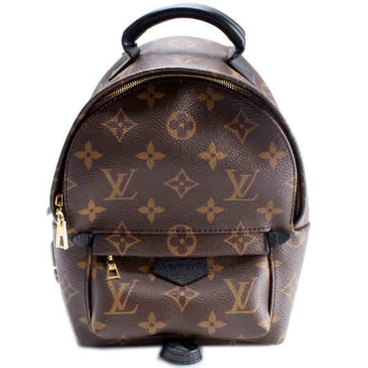 Louis Vuitton Palm Springs Mini Monogram
