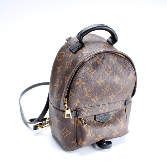 Louis Vuitton Palm Springs Mini Monogram