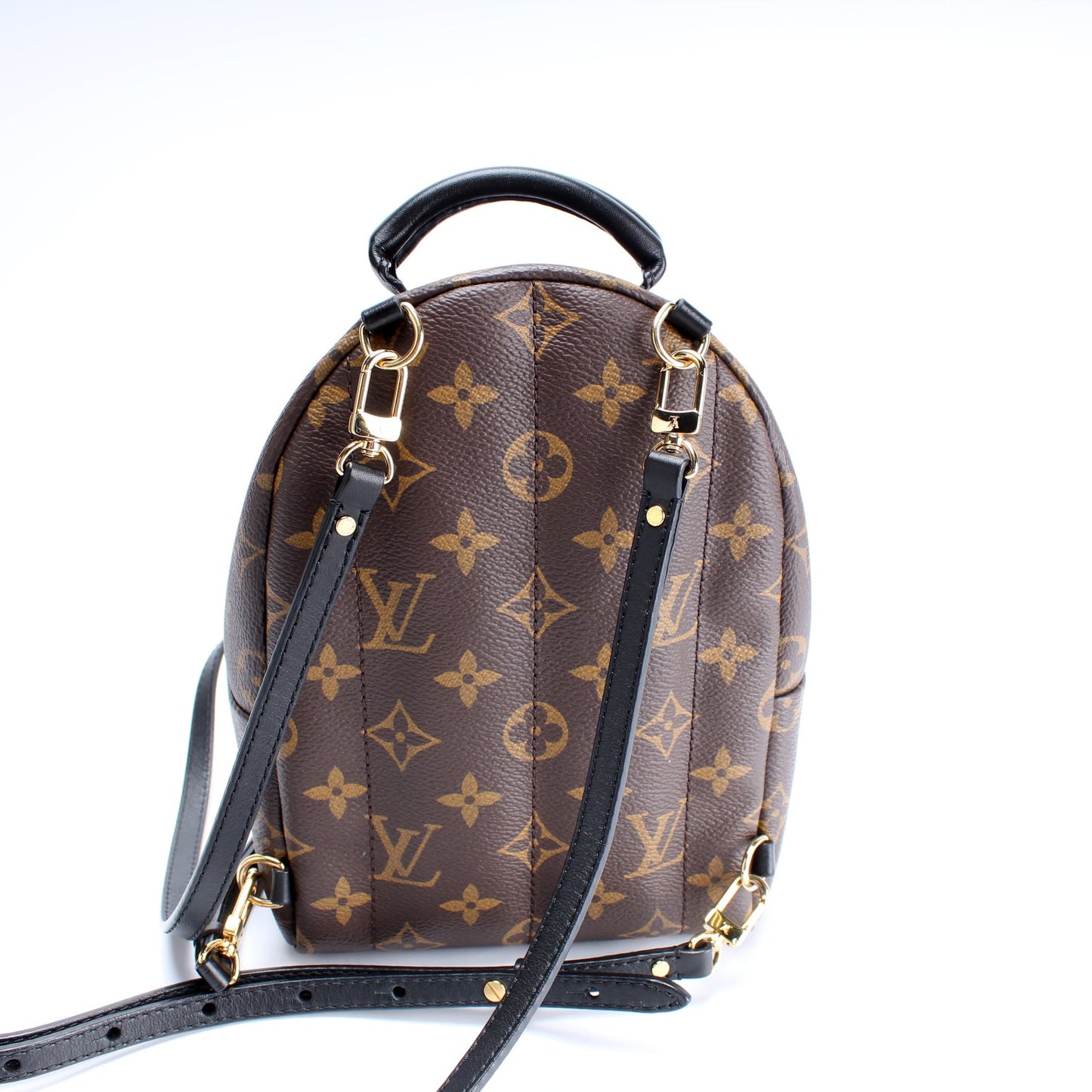 Louis Vuitton Palm Springs Mini Monogram